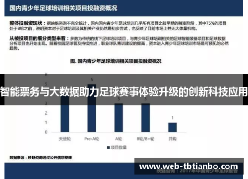 智能票务与大数据助力足球赛事体验升级的创新科技应用