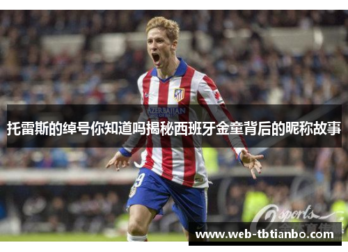 托雷斯的绰号你知道吗揭秘西班牙金童背后的昵称故事
